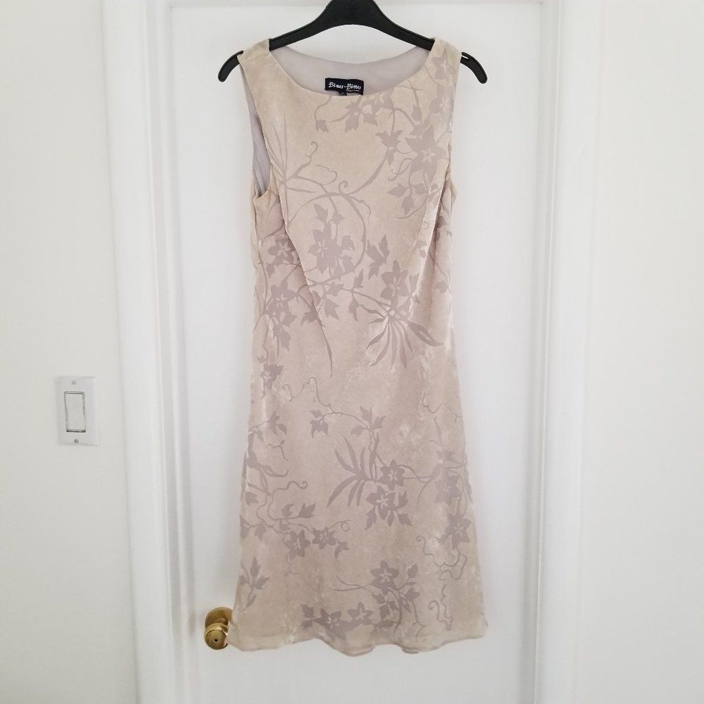 Beige Velour dress